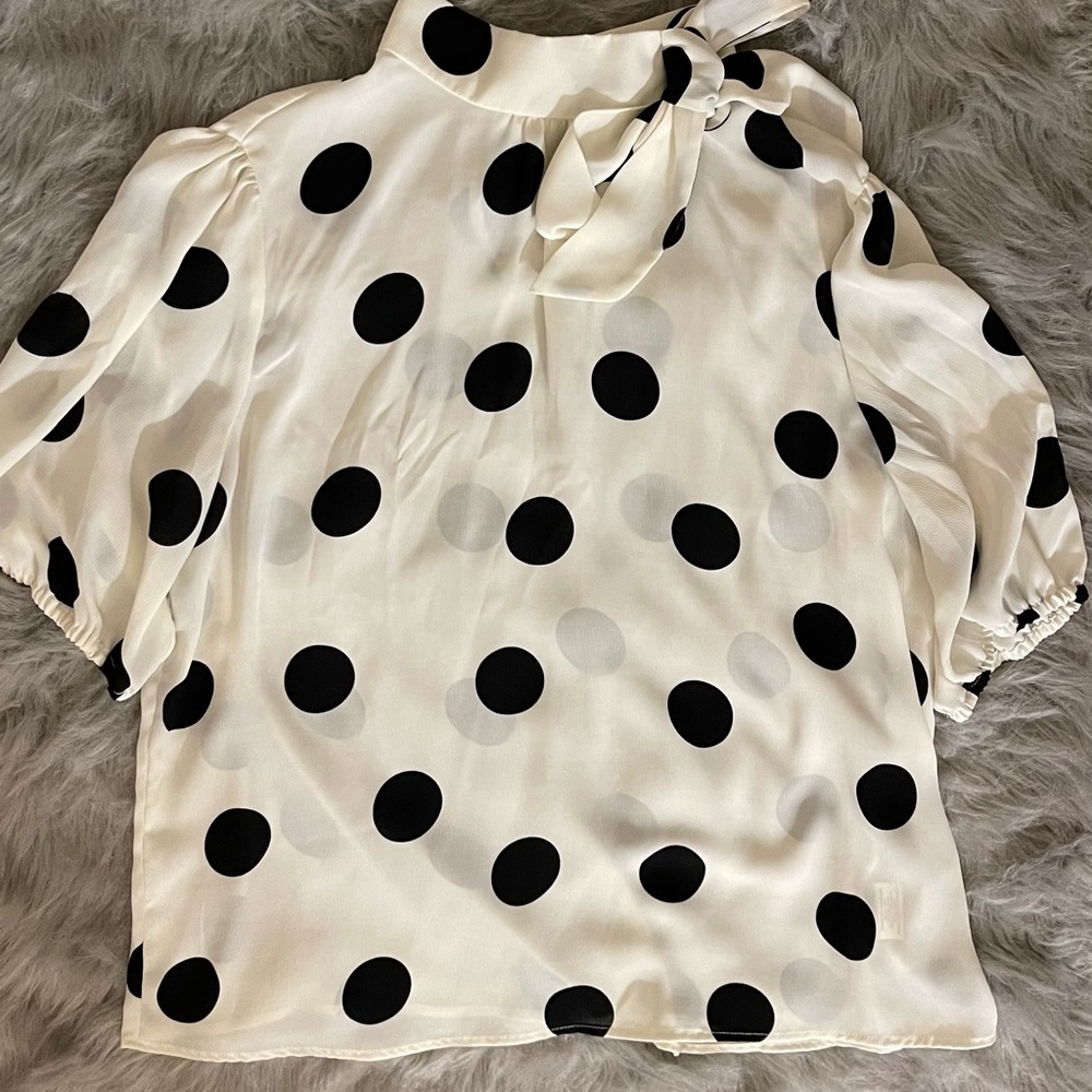 Size L